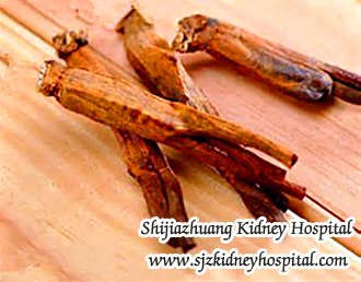 Nephrotic Syndrome and Foams Urine, How to Recover Renal function