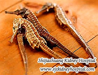 What are Treatments to Diabetic Nephropathy Except for Dialysis