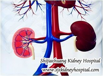 Natural Treatment Recommendations to Stage 4 Kidney Failure Patients