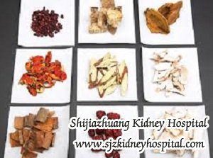 What Should We Do With Chronic Nephritis and Intractable Proteinuria