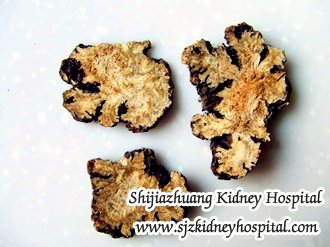 Alternative Treatment to Kidney Failure with Dialysis