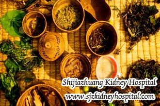 Nephrotic Syndrome with Creatinine 4.5, What is the Most Effective Treatment