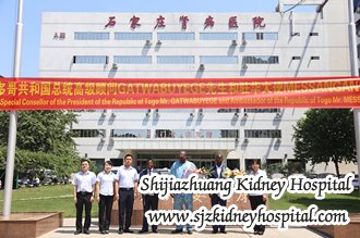 Special Counselor of the President of the Republic of Togo and Ambassador Visited Shijiazhuang Hetaiheng Hospital