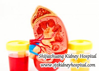Can Chronic Nephritis Patients Get Rid of Blood in Urine Naturally