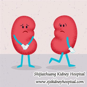 High blood Sugar and Creatinine 4.9, What Should We Do