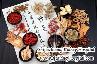 Can High Creatinine Level Cause Protein in urine