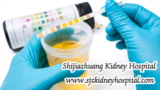 Proteinuria in High Blood Pressure and Kidney Disease