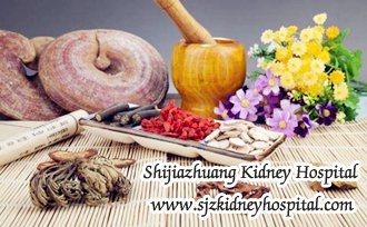 Diabetic Nephropathy and Creatinine 2.6, What is Life Expectancy