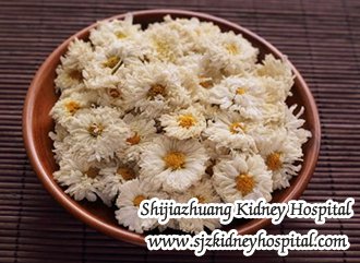 What is the Best Treatment for Patients in Stage 4 Kidney Failure