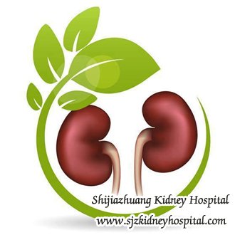 Any Suggestions for Stopping Kidney Damage for PKD Patients