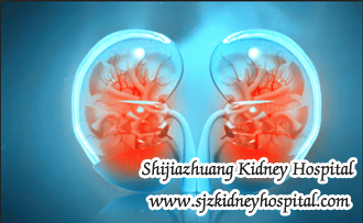 Is It Possible to Reverse Nephropathy