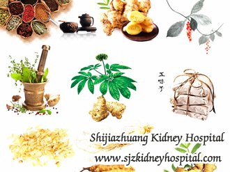 Is There Any Method to Improve the Kidney Function