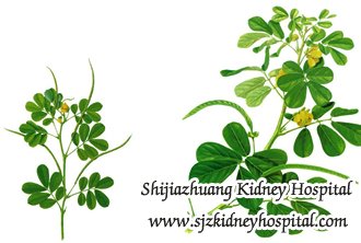 How Do We Take Care to Prevent Further Increase in Creatinine Level
