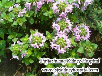How Herbal Treatment Works to Remedy Stage 5 CKD