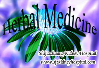 What is Herbal Medicine to Kidney Failure with Creatinine 7