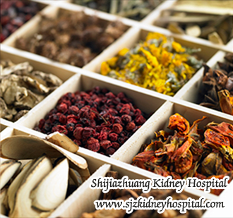 How to Stop too Much Protein Leaking in Your Urine for Nephrotic Syndrome