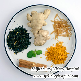 Would You Help Me to Avoid Dialysis in Condition of CKD and Vomiting