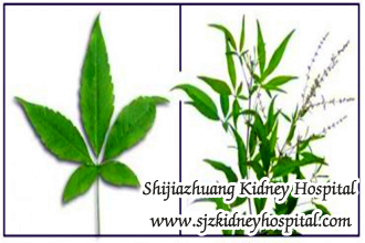 What Medicine Do You Recommend to Treat Kidney Diseases
