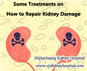 Can You Help With Some Treatments on How to Repair Kidney Damage