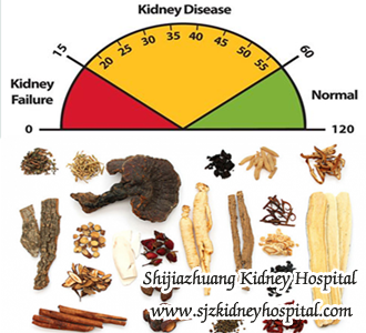 Why My Creatinine Level Fluctuate with the Right Diets and Medicines