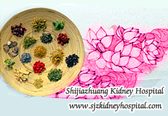 Creatinine Level 5.1 and Blood Urea 120, How to Improve Renal Function