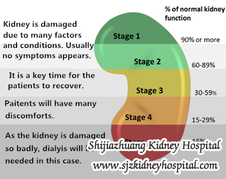 Is Creatinine 6.3 Seriously And Which Stage of CKD I Am
