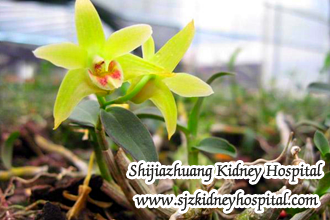 How to Manage Serum Creatinine 8 Aside from Dialysis