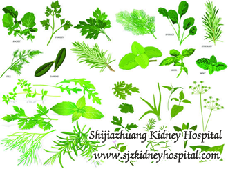 Which Herbs Is Helpful for Kidney Disease Patients with creatinine 2.7