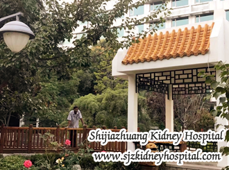 Hypertension and Creatinine 5 How to Dispel Nausea