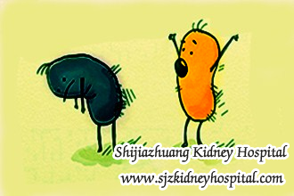 How to Save Residual Kidney With Chinese Medicine for Lupus Nephritis