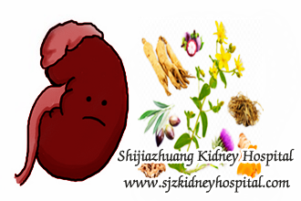 Chinese Medicine Reduces Creatinine 4.2 for IgA Nephropathy