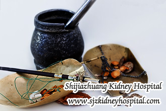 Can Lupus Nephritis Patients Benefit from Chinese Herbal Medicine