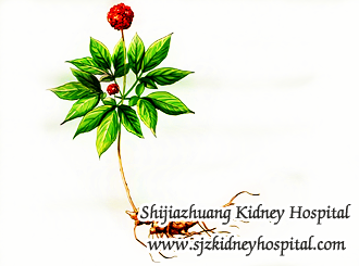 Renal Failure and Creatinine 6.2 Is There Any Hope to Avoid Dialysis