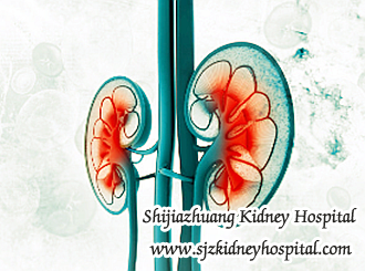 Which is the Best Herbal Medicine to Heal From Kidney Failure
