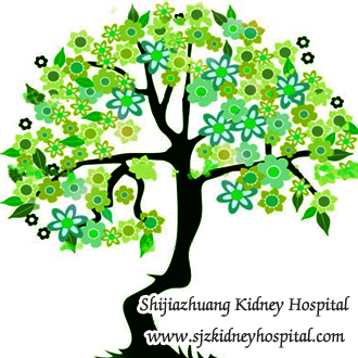 How to Bring Creatinine 4.5 Down for My Mother Naturally