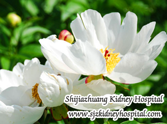 How to Deal with Swollen Legs and Kidney Pain in PKD and Creatinine 4.5