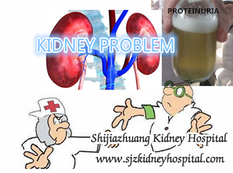 What Happens to the Kidney When A Person Get Proteinuria