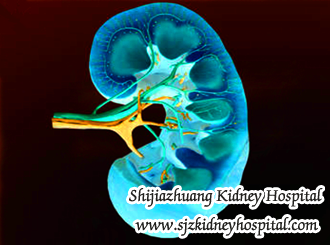 Should We Concern Bubble in Urine If There Is Nephritis