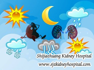 How to Prevent the Relapse of IgA Nephropathy with weather variations