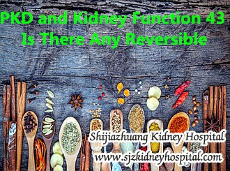 PKD and Kidney Function 43 Is There Any Reversible