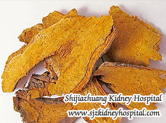 Is Chronic Kidney Disease at the End of Stage 3 Curable