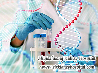PKD How to Maintain the Renal Cysts and Prevent a Dialysis