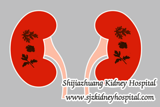 How Long Chinese Medicine Take Kidneys at 27% Function to 50%