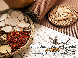 Is Chinese Therapy Good for IgA Nephropathy