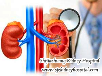 Some Key Points for Diagnosing Chronic Nephritis