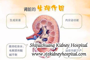 The kidneys are so capable that many function should be done by them