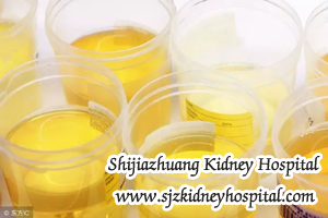 Except for Urine Routine These Indexes of Nephropathy Should Be Noted