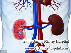 CKD Treatment, Dialysis, Transplant