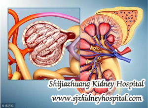 CKD Treatment, Dialysis, Transplant