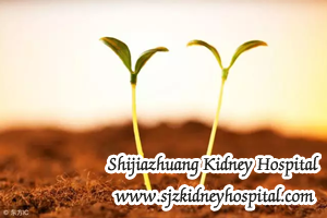 CKD Treatment, Dialysis, Transplant